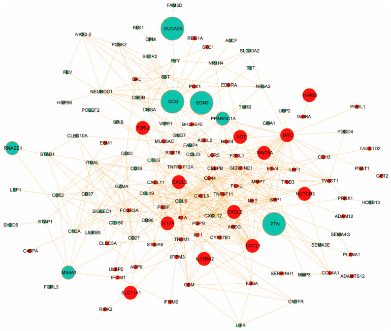 PMC11673540 – biomedicines-12-02656-f004