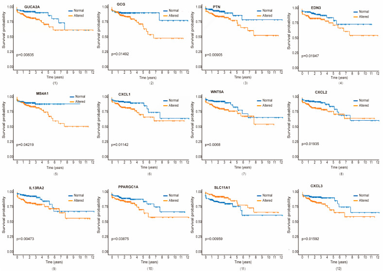 PMC11673540 – biomedicines-12-02656-f005