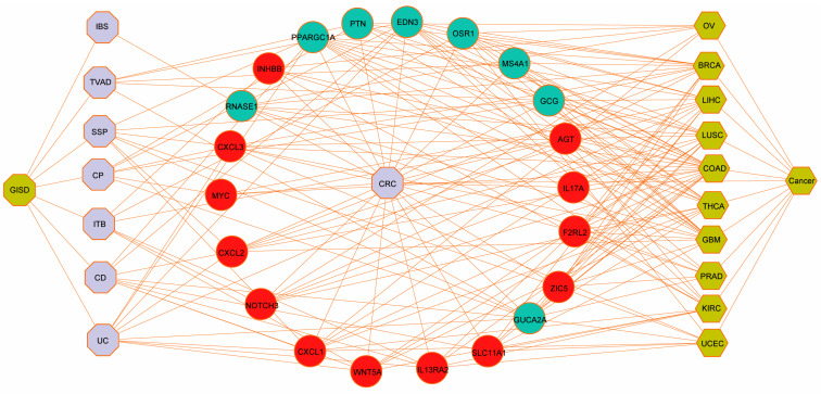 PMC11673540 – biomedicines-12-02656-f006