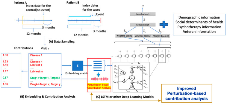 PMC11673068 – biomedicines-12-02772-f001