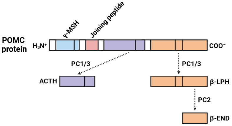 PMC11762748 – biomedicines-13-00165-f002