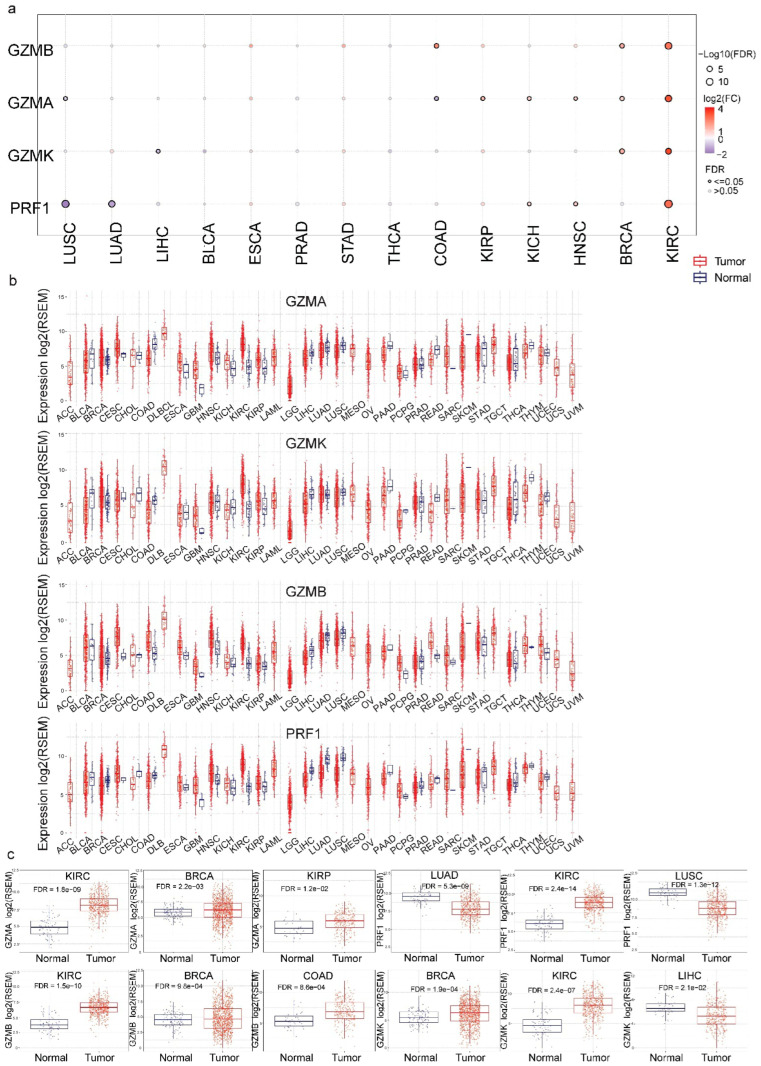 PMC11853441 – biomedicines-13-00408-f001