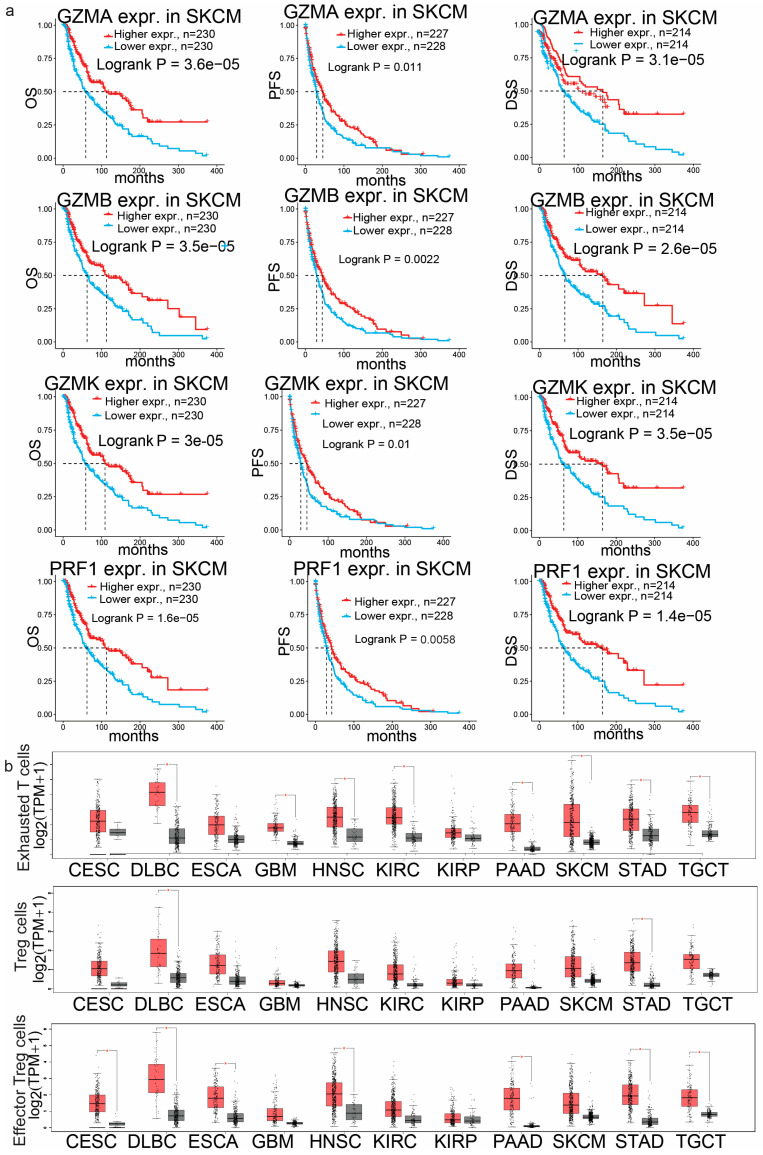 PMC11853441 – biomedicines-13-00408-f002