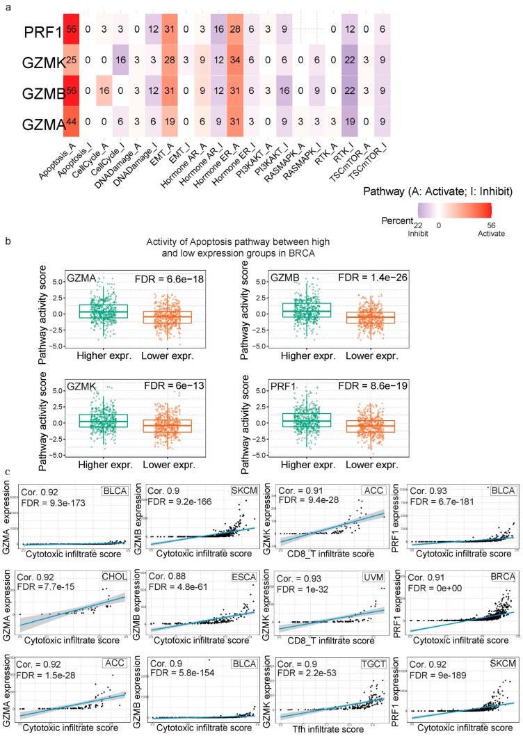 PMC11853441 – biomedicines-13-00408-f003