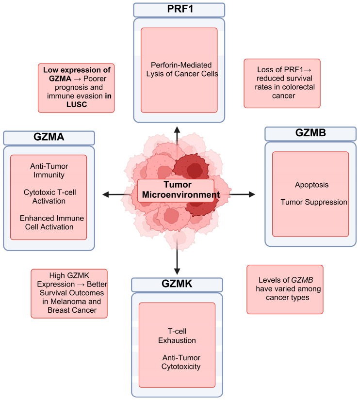 PMC11853441 – biomedicines-13-00408-f008