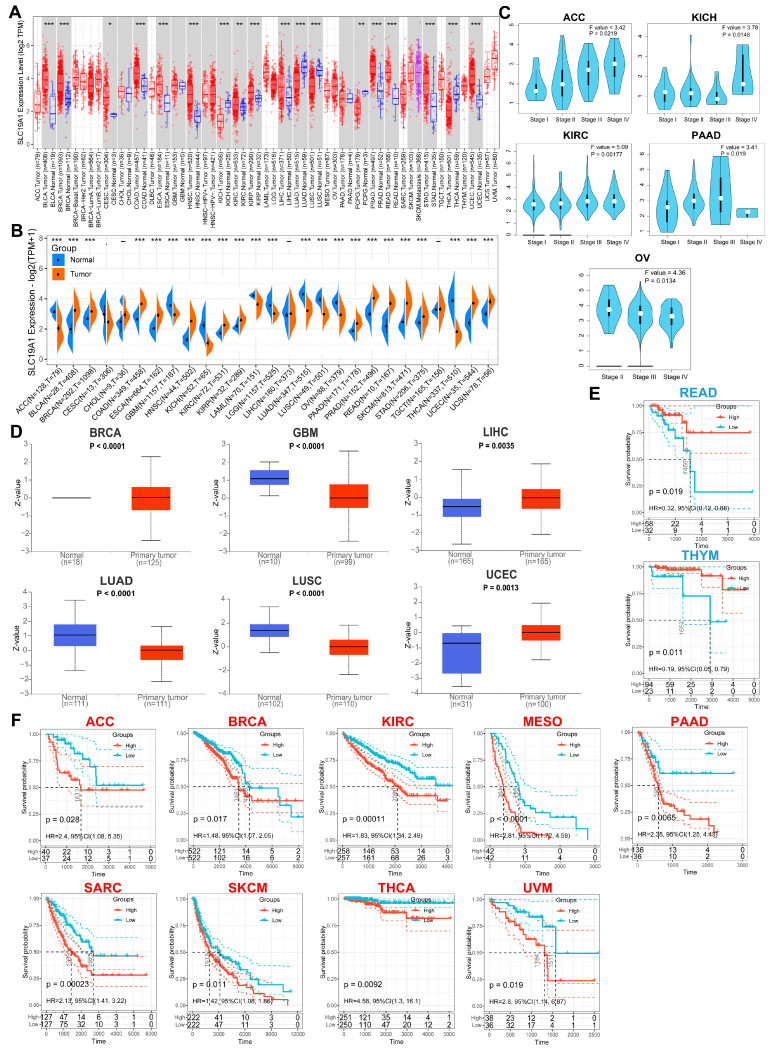 PMC11940280 – biomedicines-13-00571-f001
