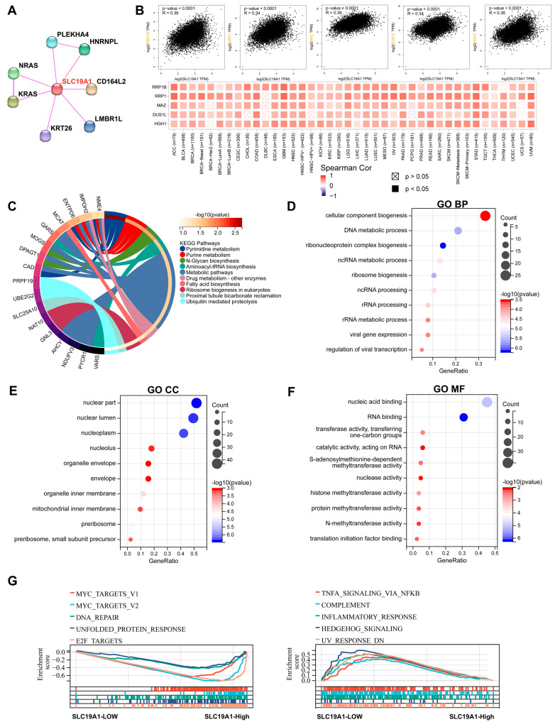 PMC11940280 – biomedicines-13-00571-f004