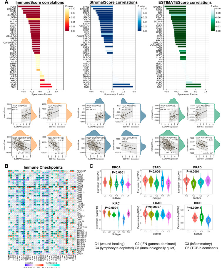 PMC11940280 – biomedicines-13-00571-f005