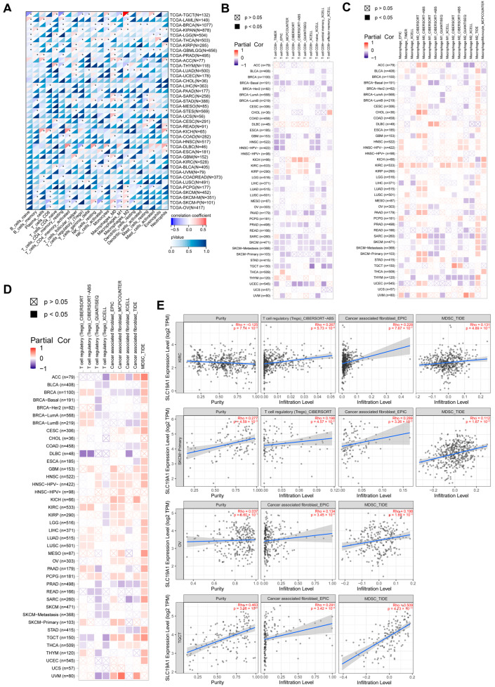 PMC11940280 – biomedicines-13-00571-f006