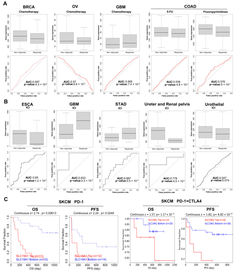 PMC11940280 – biomedicines-13-00571-f009