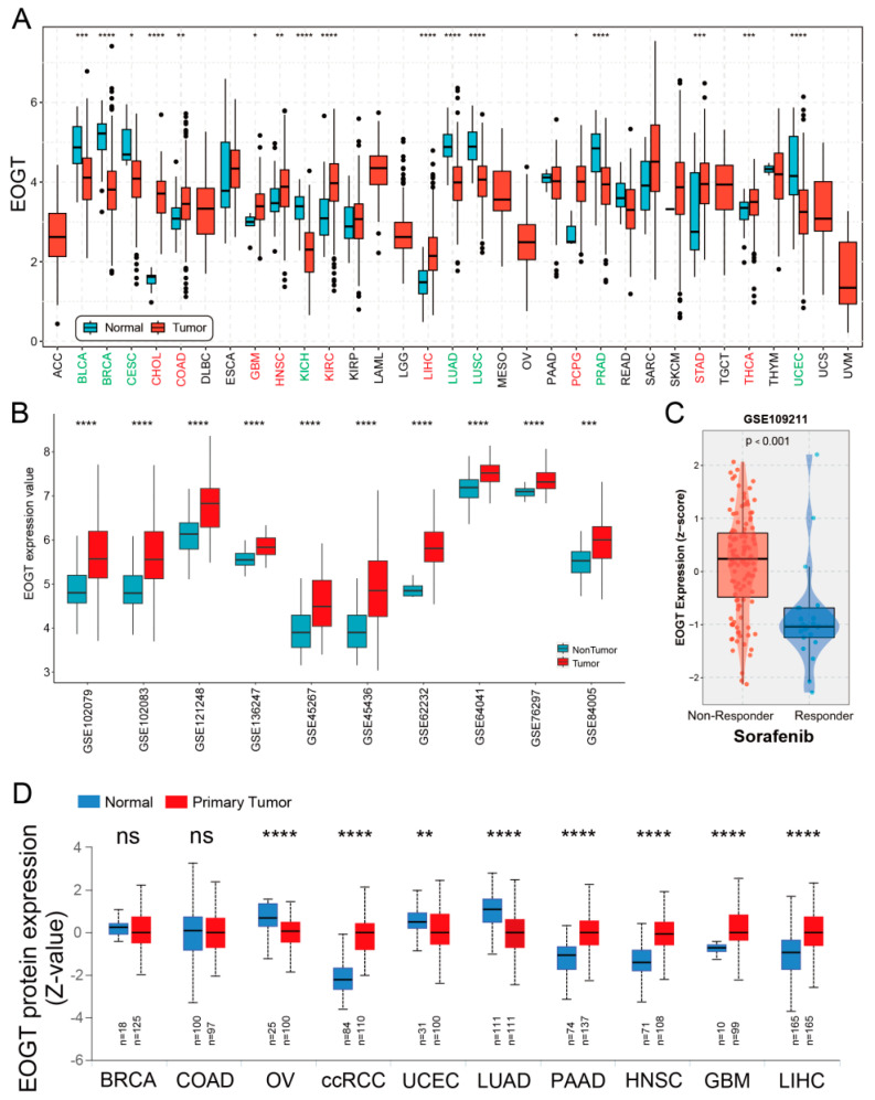 PMC12024942 – biomedicines-13-00773-f001