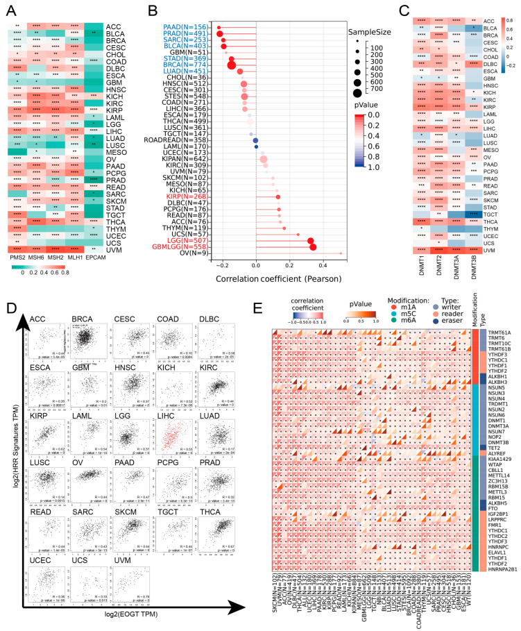 PMC12024942 – biomedicines-13-00773-f004