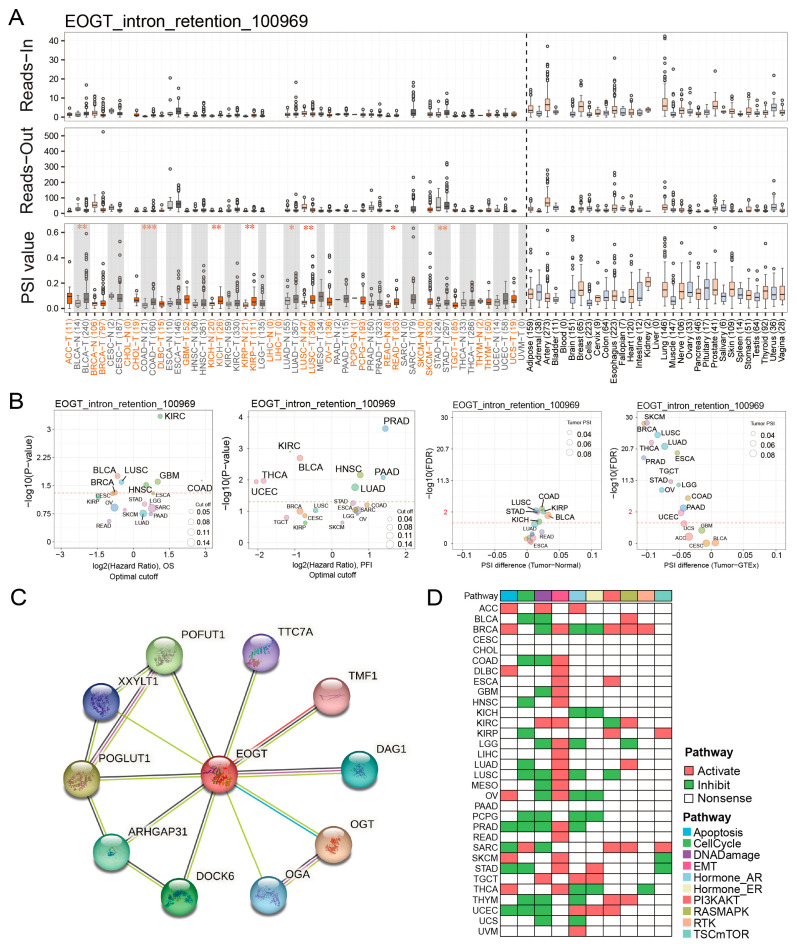 PMC12024942 – biomedicines-13-00773-f005