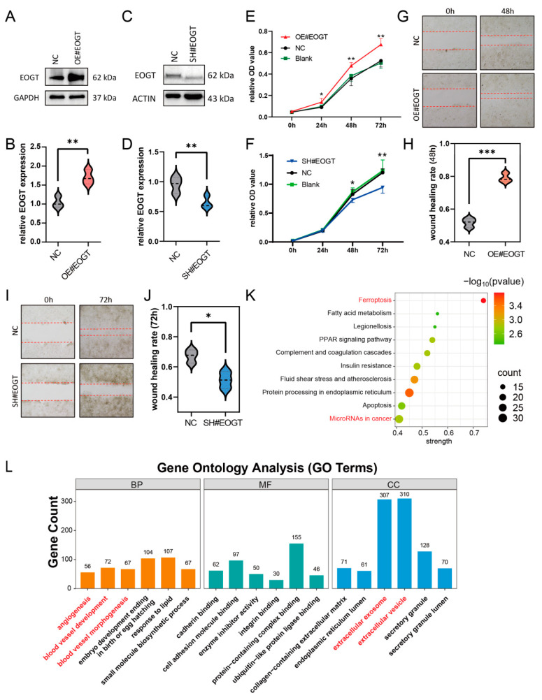 PMC12024942 – biomedicines-13-00773-f007