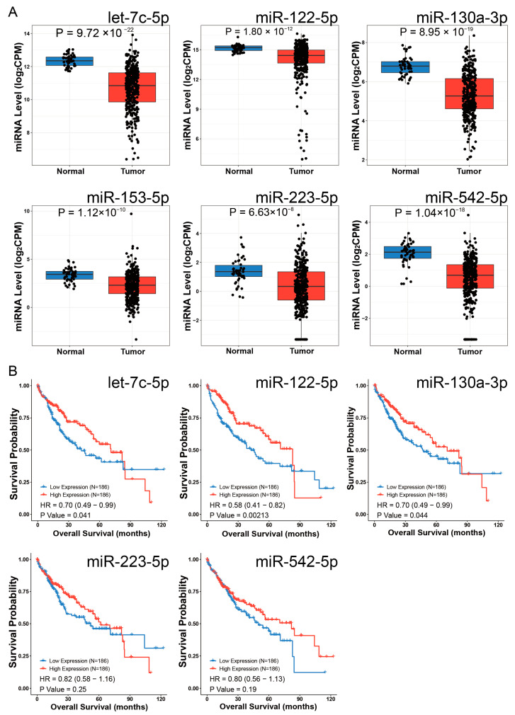 PMC12024942 – biomedicines-13-00773-f008