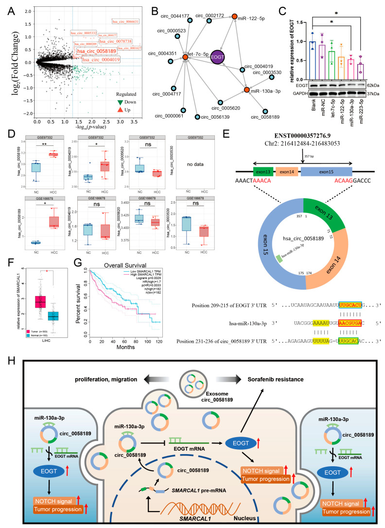 PMC12024942 – biomedicines-13-00773-f009