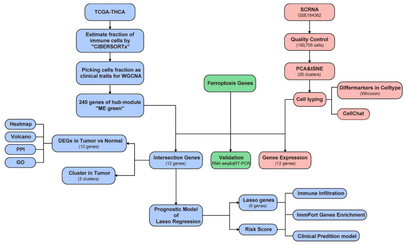 PMC12024864 – biomedicines-13-00903-f001