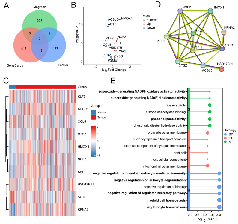 PMC12024864 – biomedicines-13-00903-f003