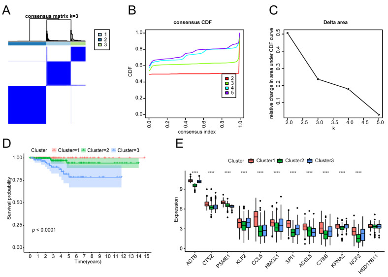 PMC12024864 – biomedicines-13-00903-f004