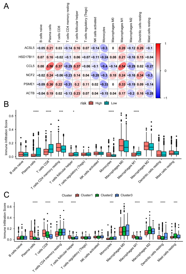 PMC12024864 – biomedicines-13-00903-f006