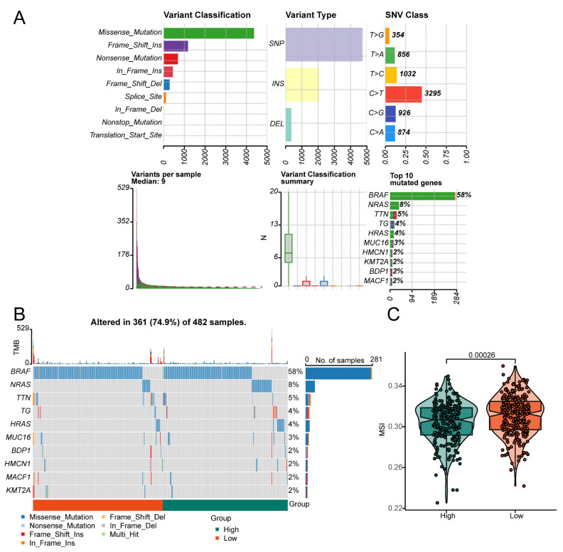 PMC12024864 – biomedicines-13-00903-f008