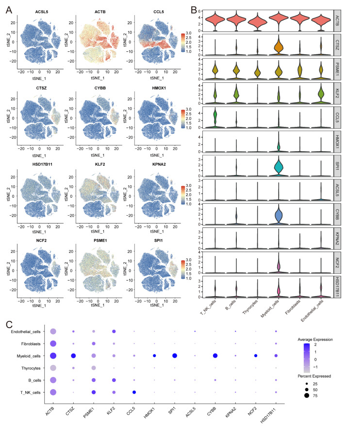 PMC12024864 – biomedicines-13-00903-f013