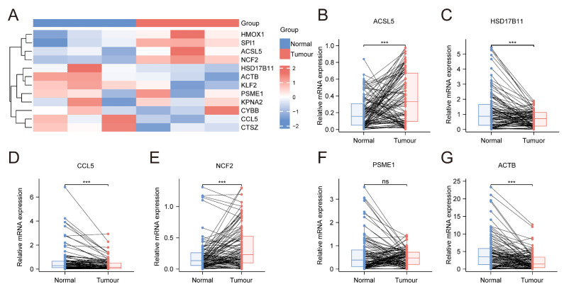 PMC12024864 – biomedicines-13-00903-f014