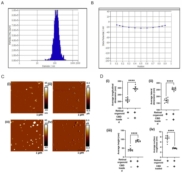 PMC12108686 – biomedicines-13-01167-f003