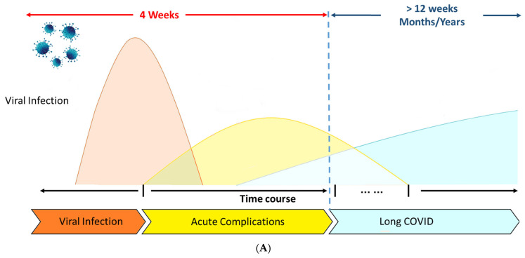 PMC12383872 – biomedicines-13-01801-f001