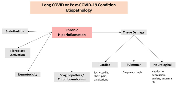 PMC12383872 – biomedicines-13-01801-f002