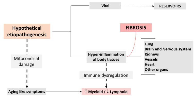 PMC12383872 – biomedicines-13-01801-f003