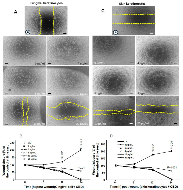 PMC12562265 – biomedicines-13-02541-f004