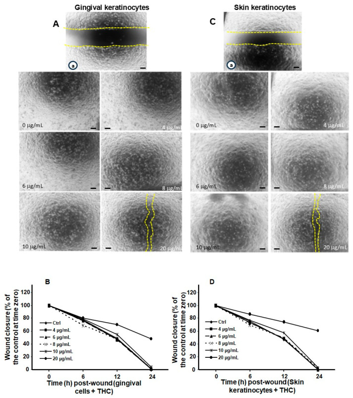 PMC12562265 – biomedicines-13-02541-f005