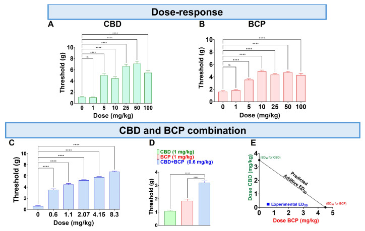 PMC12730619 – biomedicines-13-03103-f001