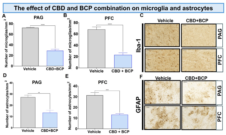 PMC12730619 – biomedicines-13-03103-f005