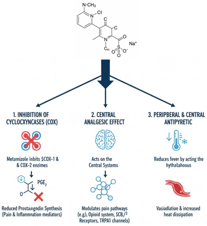 PMC12938572 – biomedicines-14-00358-f001