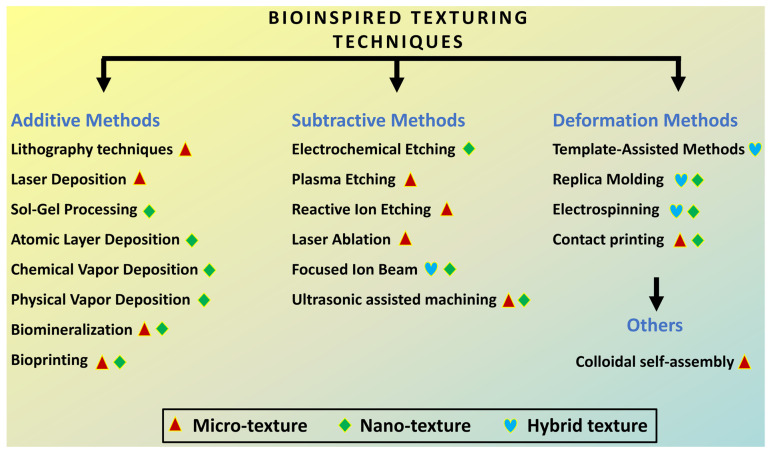PMC11048303 – biomimetics-09-00209-f004