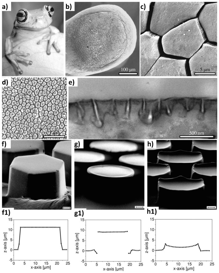PMC11048303 – biomimetics-09-00209-f007