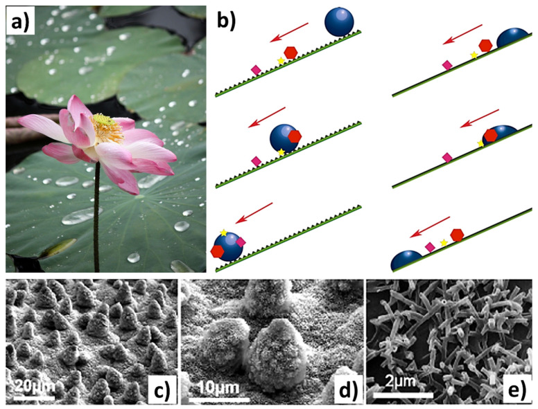 PMC11048303 – biomimetics-09-00209-f009