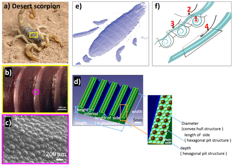 PMC11048303 – biomimetics-09-00209-f012