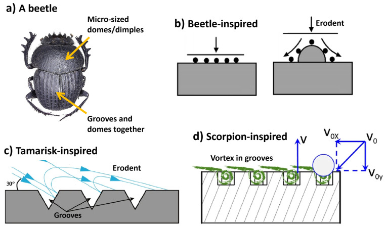 PMC11048303 – biomimetics-09-00209-f013