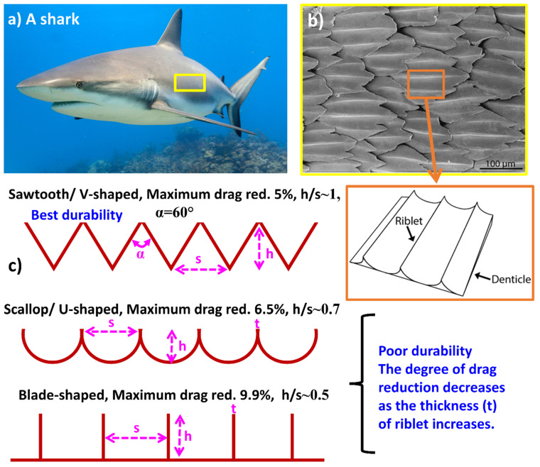 PMC11048303 – biomimetics-09-00209-f014