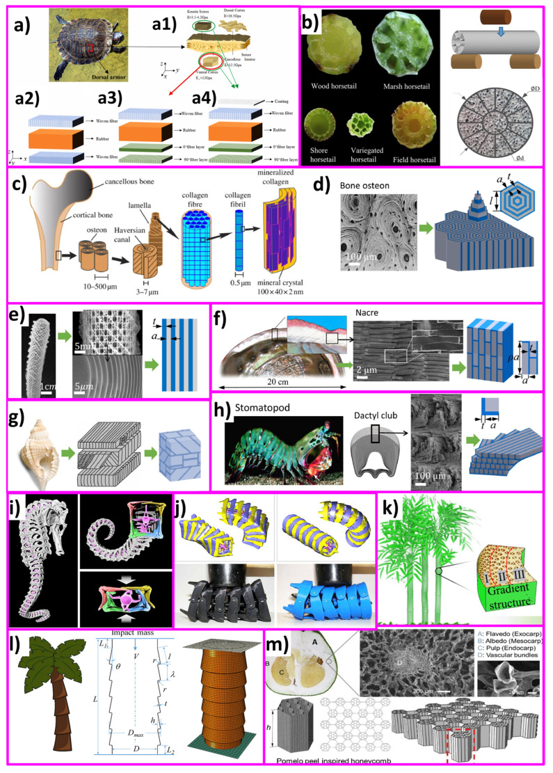 PMC11048303 – biomimetics-09-00209-f016