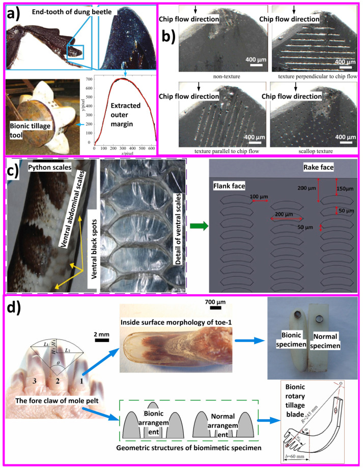 PMC11048303 – biomimetics-09-00209-f019