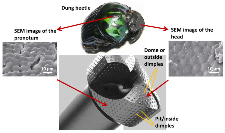 PMC11048303 – biomimetics-09-00209-f020