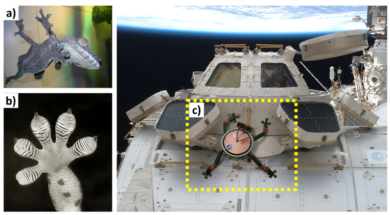 PMC11048303 – biomimetics-09-00209-f023