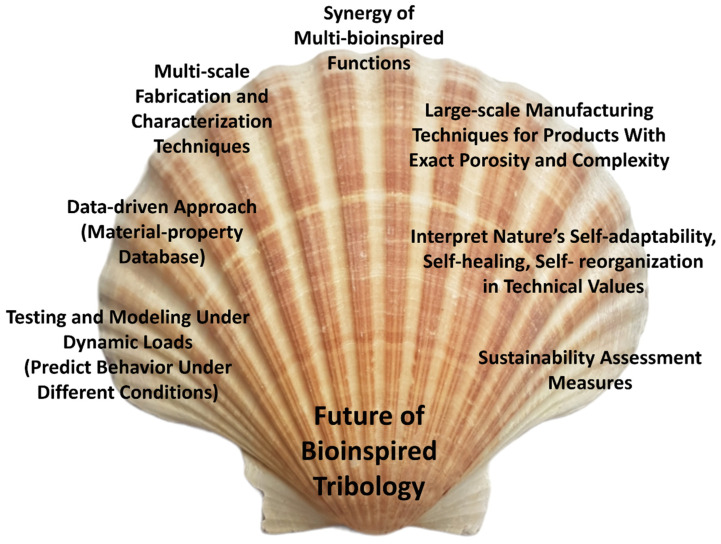 PMC11048303 – biomimetics-09-00209-f029