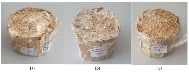 PMC11591618 – biomimetics-09-00707-f003
