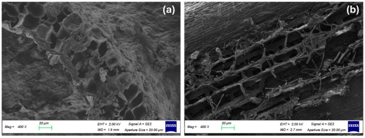 PMC11727592 – biomimetics-09-00781-f002