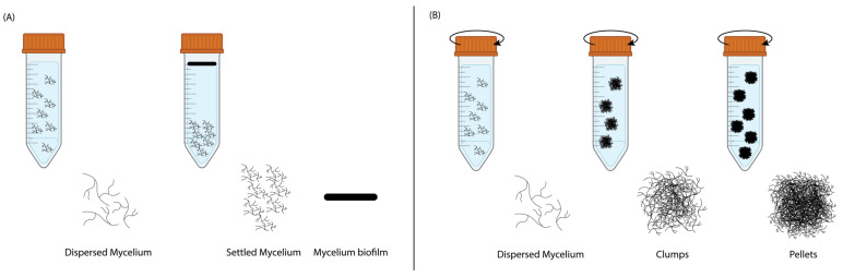 PMC11762511 – biomimetics-10-00033-f002